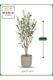 Artificial Olive Tree 155 cm – Indoor Decorative Plant with Beige Pot