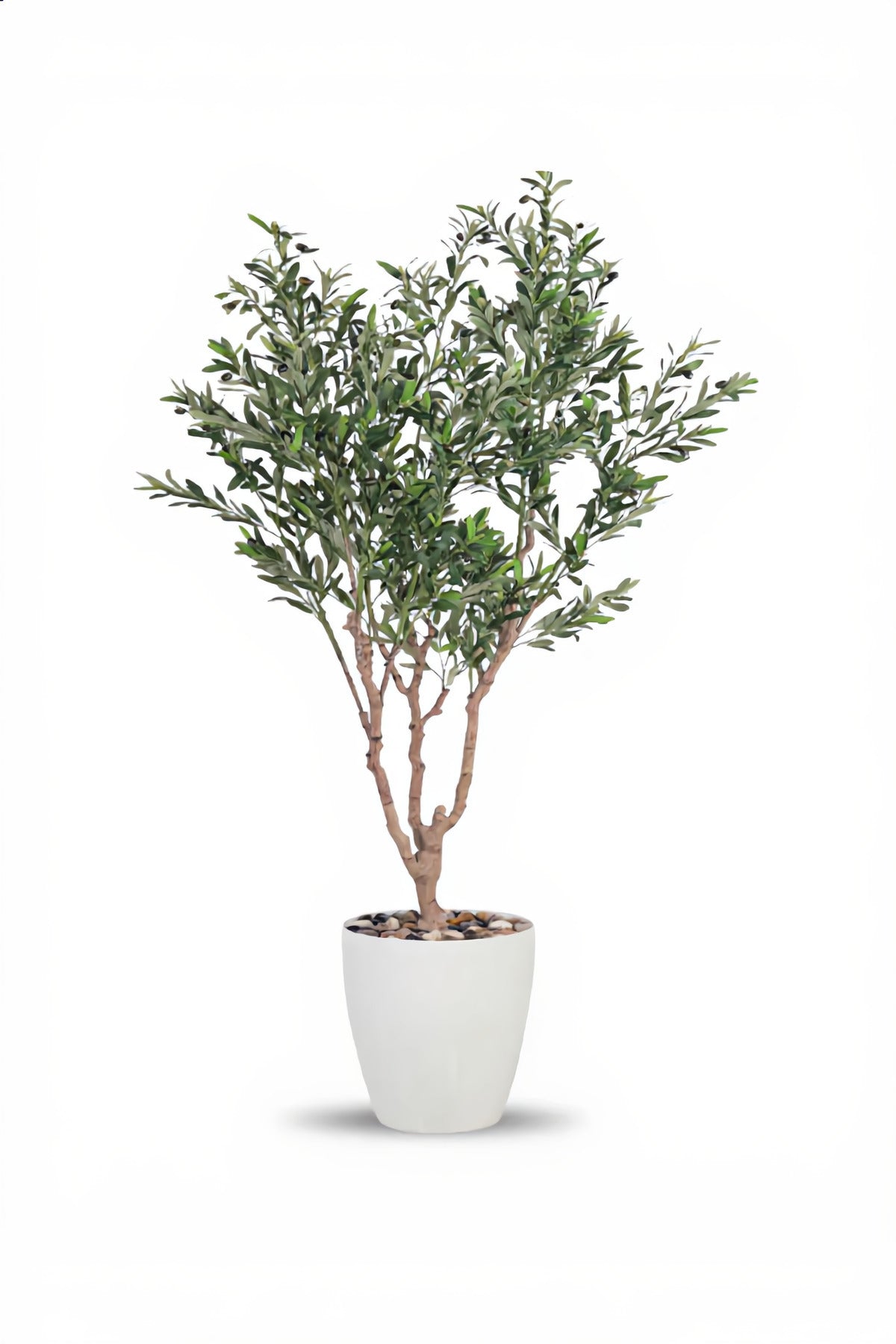 Artificial Olive Tree 210 cm – Green Foliage with White Plastic Pot for home & office decor