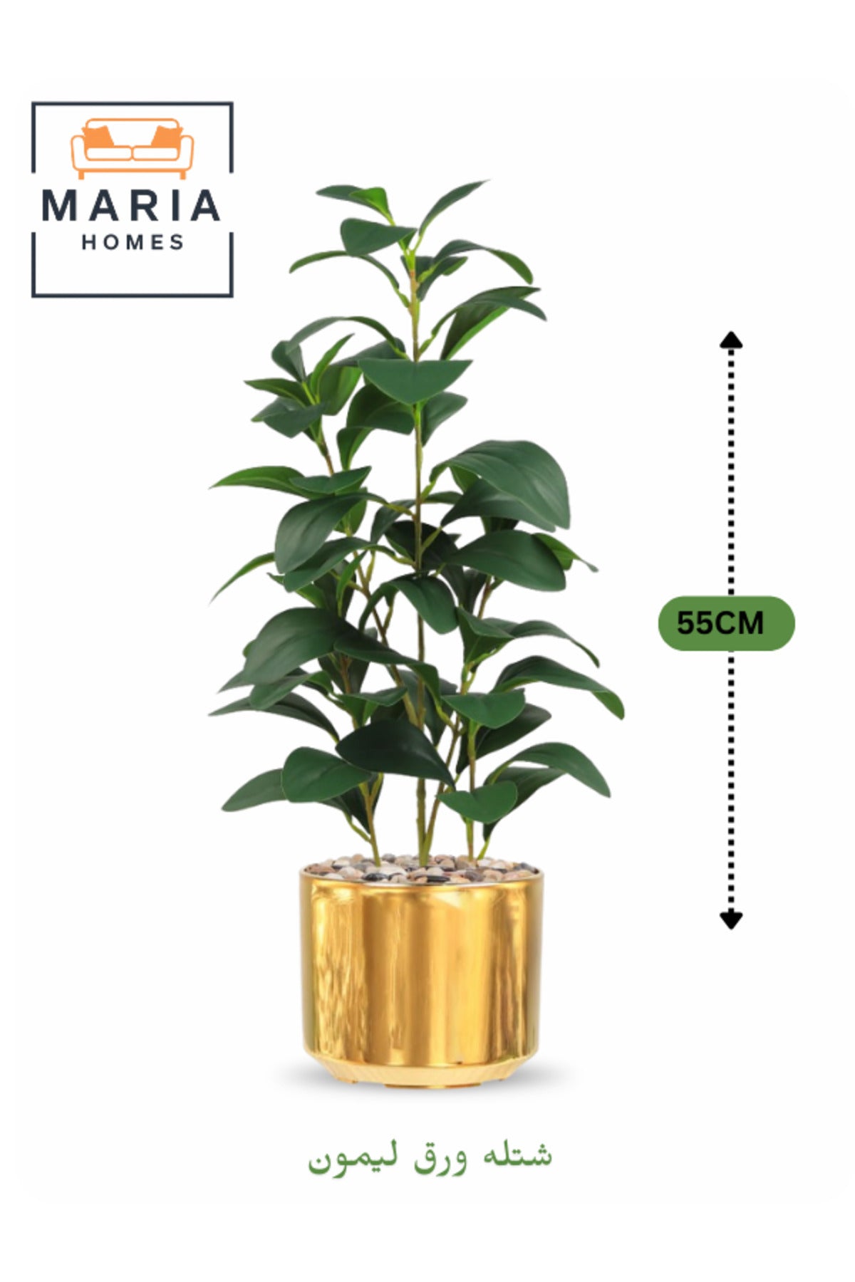Artificial Lemon Leaf Plant 55 cm Ð Green Foliage in Golden Plastic Pot for home decor