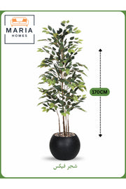 Artificial Ficus Tree 170 cm Ð Indoor Decorative Plant with Black Pot