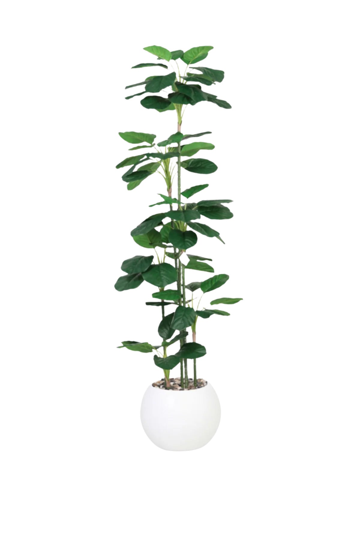 Artificial Alocasia Tree 230 cm – Tall Decorative Plant in White Plastic Pot