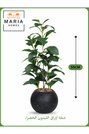 Artificial Lemon Leaf Plant 55 cm Ð Decorative Indoor Greenery with Black with silver dots Pot