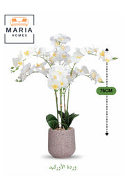 Artificial White Orchid Plant 75 cm Ð 6 Stems Decorative Plastic Pot for Home & Office