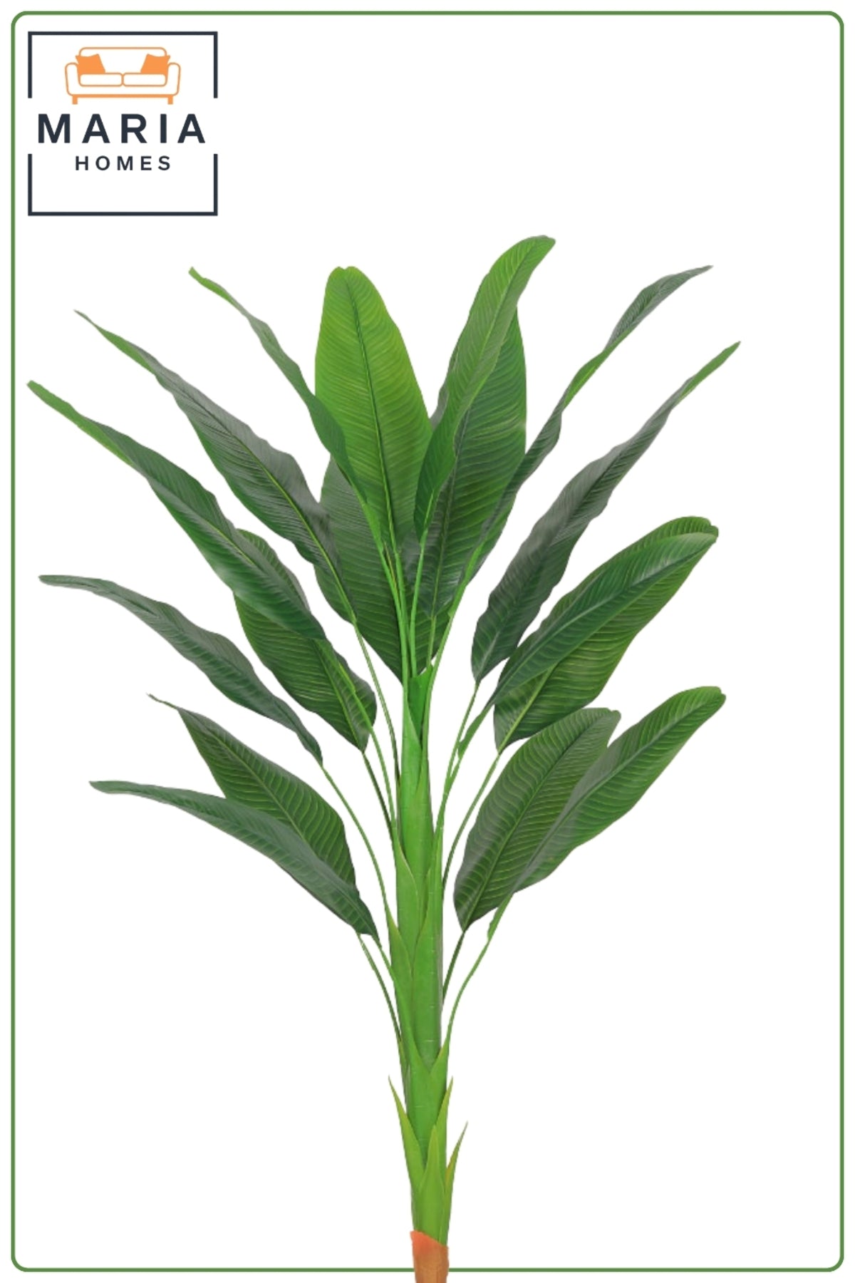 170CM Artificial Bird of Paradise Plant with Marble Pot | Large Tropical Indoor Plant