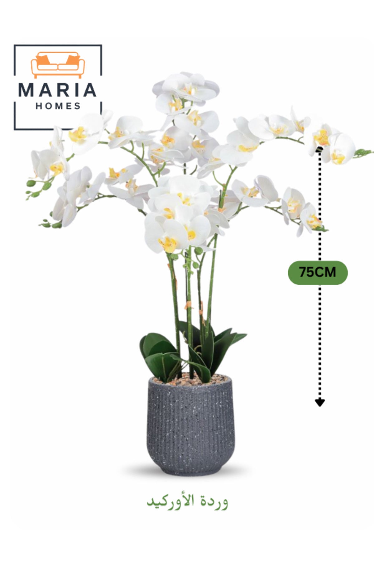 Artificial White Orchid Plant 75 cm Ð 6 Stems with Gray Decorative Plastic Pot for home & office