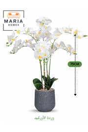 Artificial White Orchid Plant 75 cm Ð 6 Stems with Gray Decorative Plastic Pot for home & office