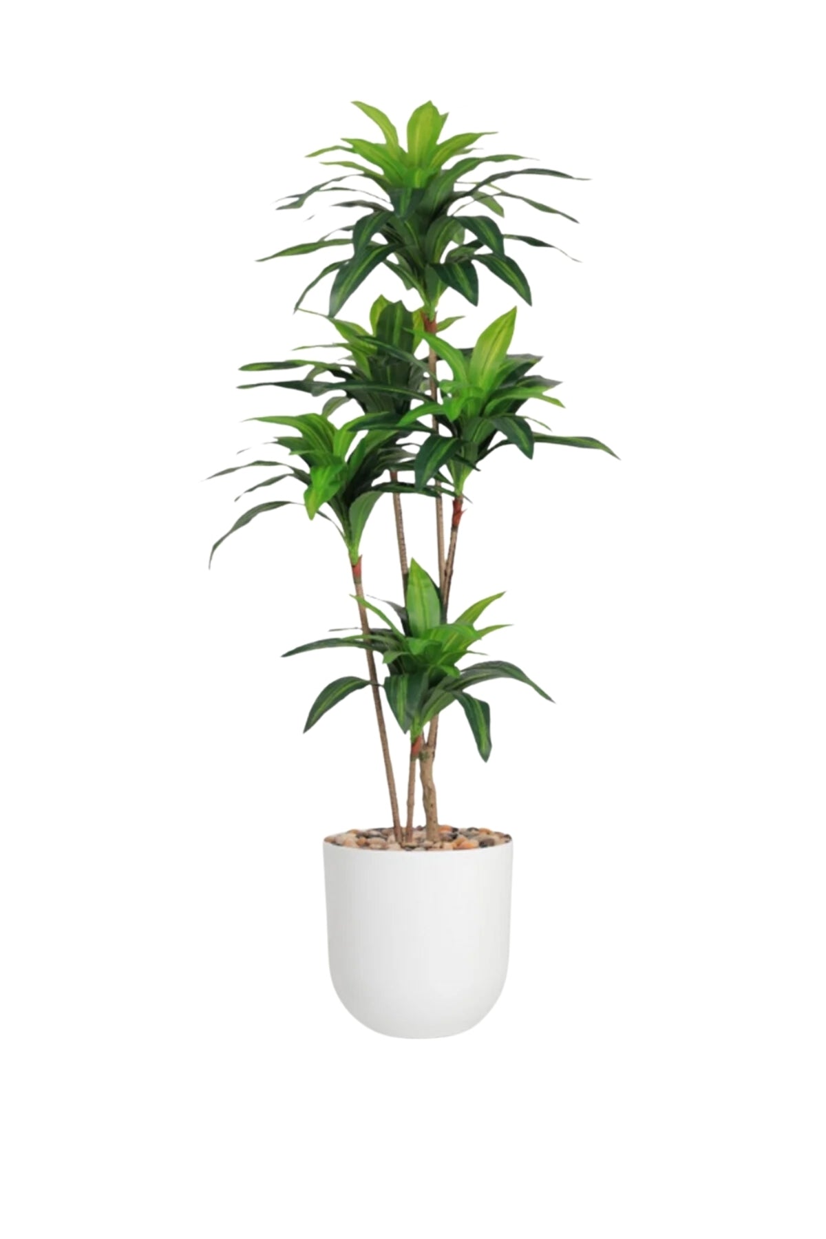 Artificial Corn Leaf Tree 180 cm – Indoor Faux Plant with White Pot