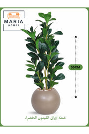 Artificial Lemon Leaf Plant 55 cm Ð Decorative Indoor Greenery with Light Brown Pot