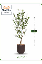 Artificial Olive Tree 155 cm Ð Indoor Decorative Plant with Brown Pot
