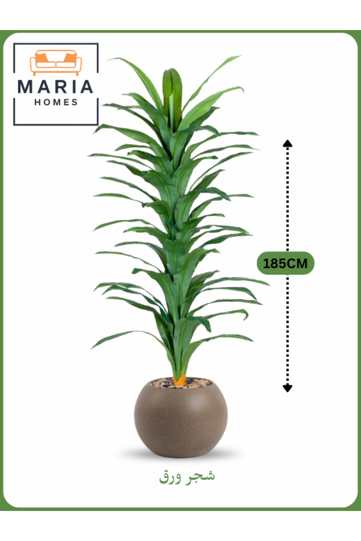 Artificial Corn Leaf Tree 185 cm Ð Indoor Faux Plant with Brown Plastic Pot