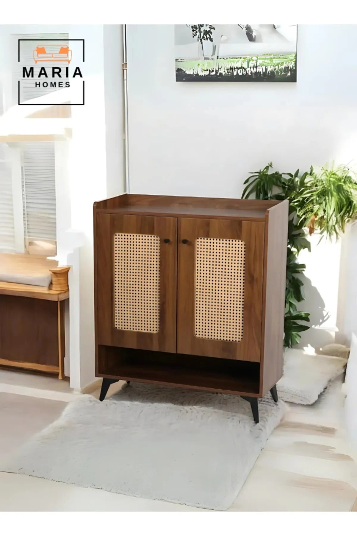 2-Door Shoe Cabinet Modern Design Shoe Storage Organiser