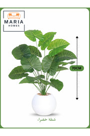 Artificial Green Leaf Plant 70 cm Ð Decorative Indoor Shrub with White Pot