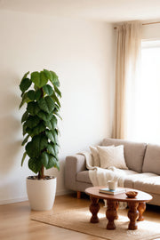 Artificial Heart Leaf Tree with with Pot – 195 cm Tall Indoor Decorative Plant