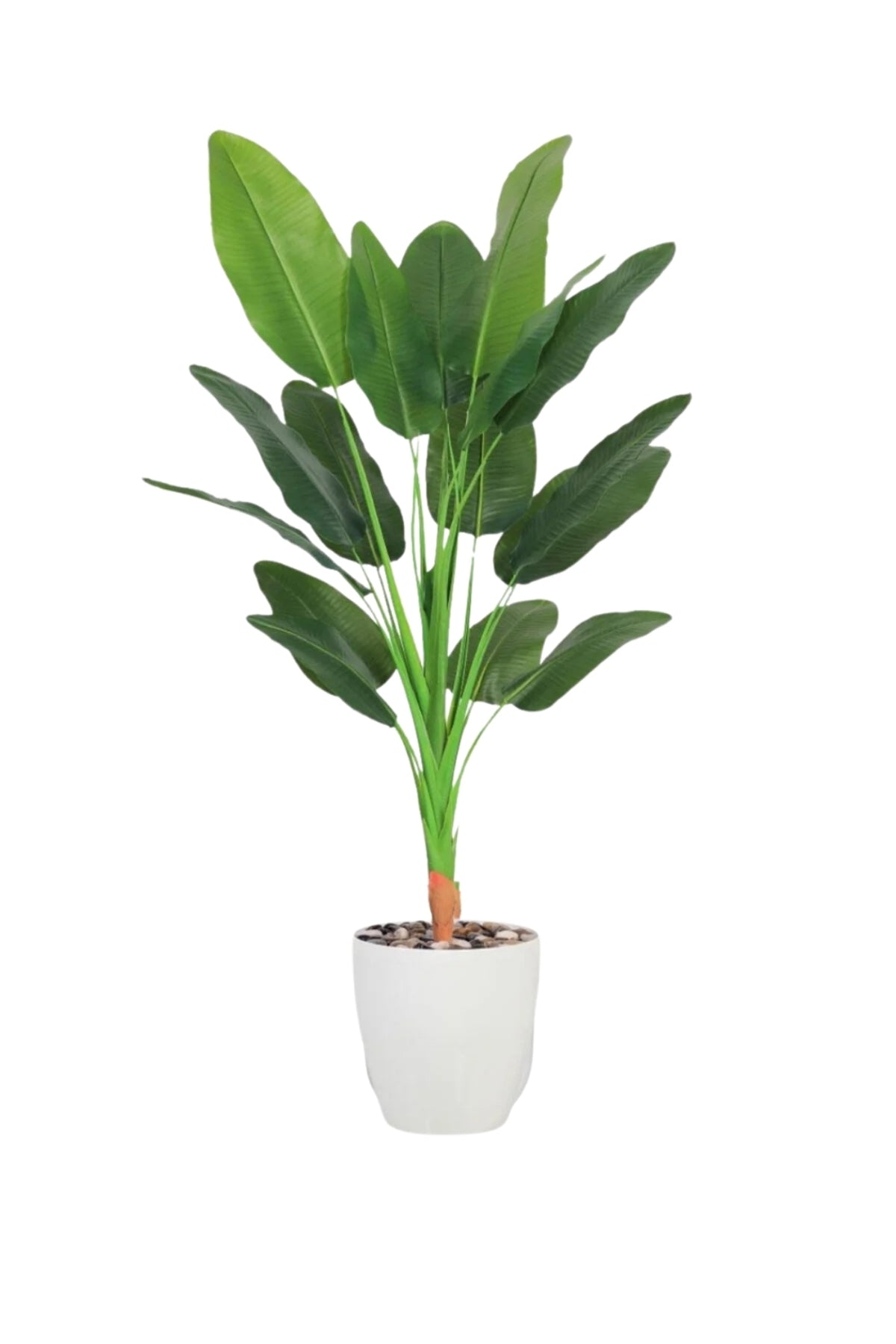 205 cm Artificial Banana Leaf Tree with with Pot – Tall Tropical Indoor Decorative Plant
