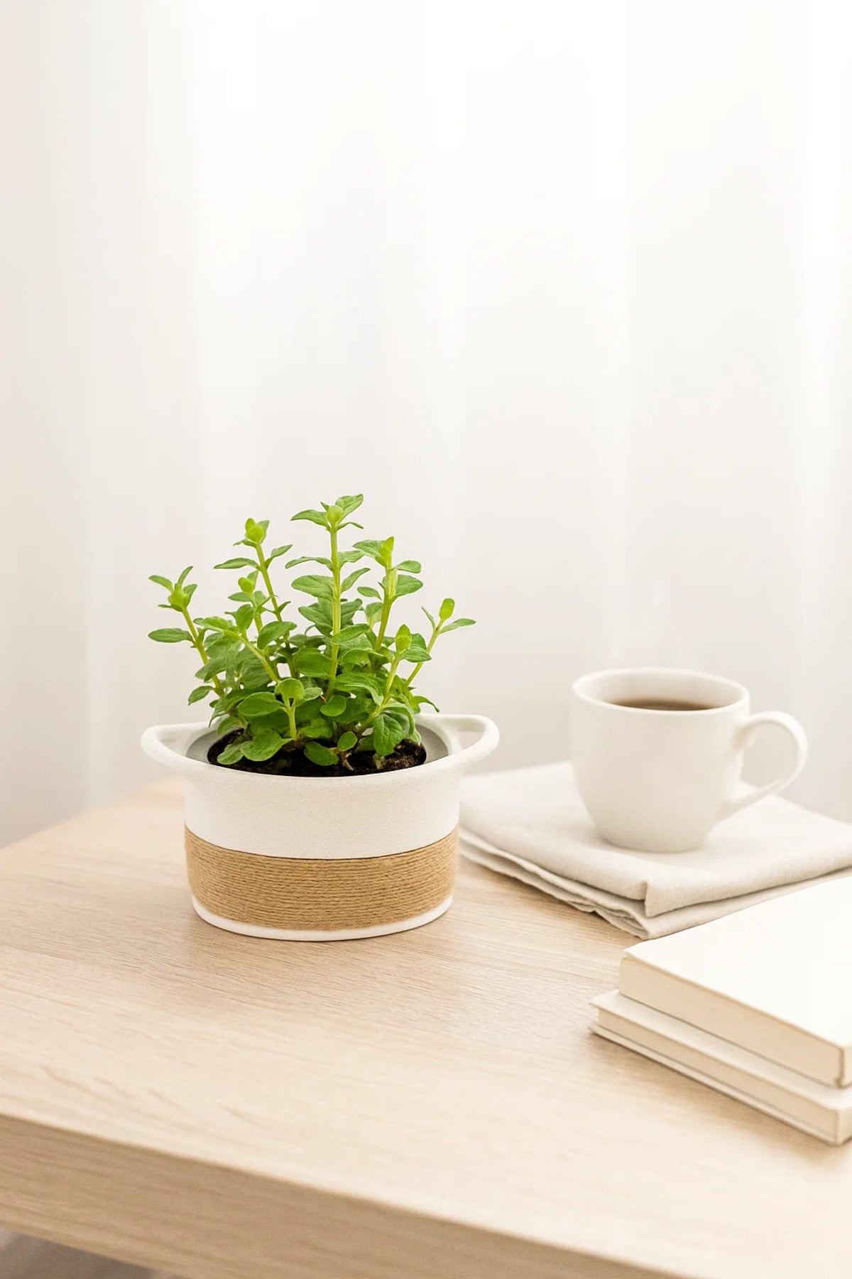 White Ceramic Rope Design Basket Planter Ð Modern Decorative Pot for Home and Office DŽcor