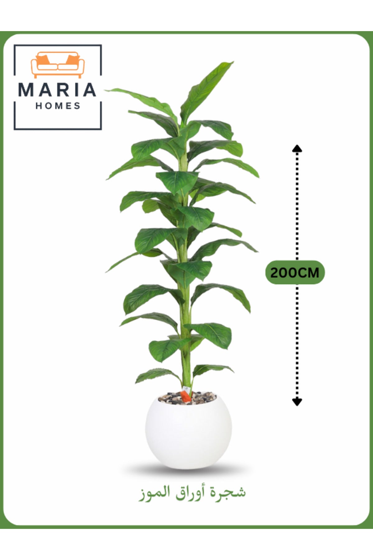 Artificial Banana Leaf Tree 200 cm Ð Tall Indoor Plant with White Pot