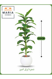 Artificial Banana Leaf Tree 200 cm Ð Tall Indoor Plant with White Pot
