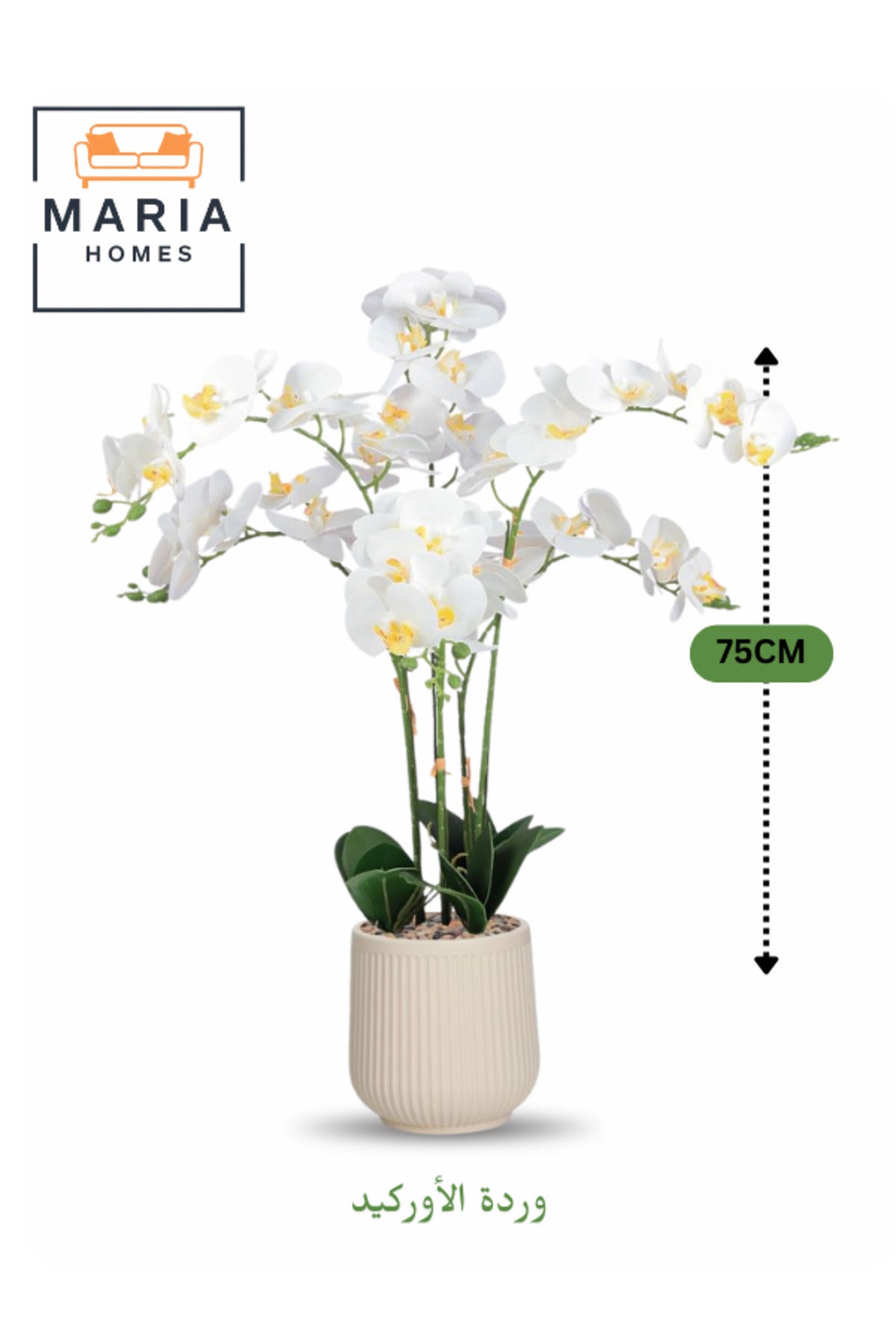 Artificial White Orchid Plant 75 cm Ð 6 Stems with Decorative Plastic Pot for home & office