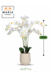Artificial White Orchid Plant 75 cm Ð 6 Stems with Decorative Plastic Pot for home & office