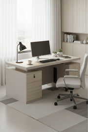 P.O.MORANDI Executive Desk with Storage and Cable Management