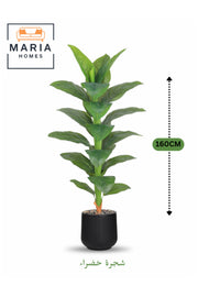 Artificial Large Green Leaf Tree 160 cm Ð Decorative Indoor Plant with Black Pot for Home & Office