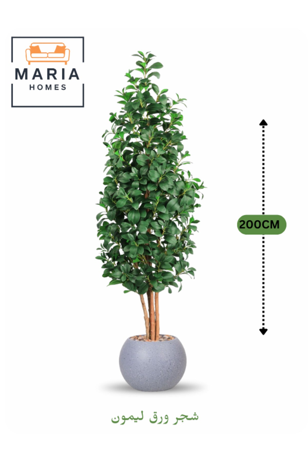 Artificial Lemon Leaf Tree 200 cm Ð Green Foliage in Round Grey Plastic Pot for home decor