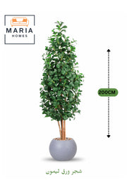 Artificial Lemon Leaf Tree 200 cm Ð Green Foliage in Round Grey Plastic Pot for home decor