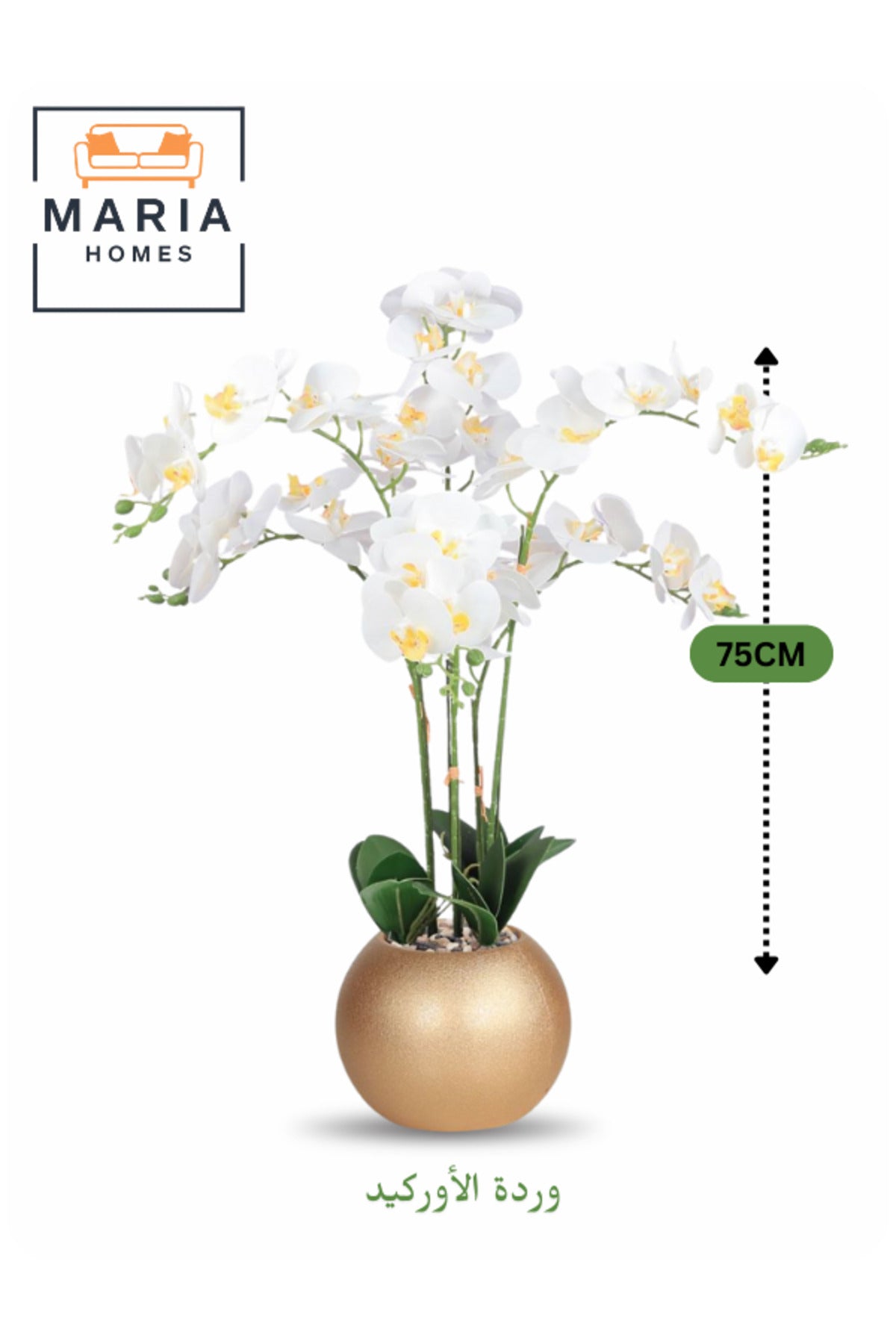 Artificial White Orchid 75 cm Ð 6-Stem Flower with Elegant Golden Round Pot