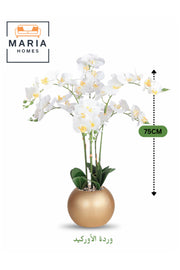 Artificial White Orchid 75 cm Ð 6-Stem Flower with Elegant Golden Round Pot