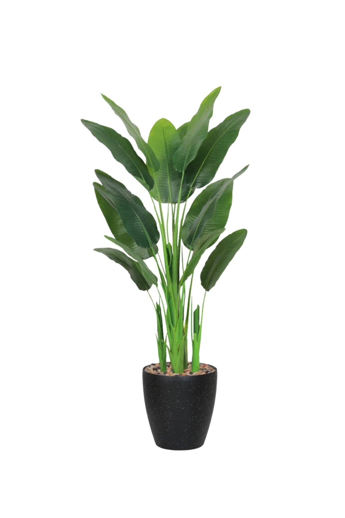 Artificial Banana Leaf Tree 180 cm 5 Branches with Pot – Indoor Decorative Plant