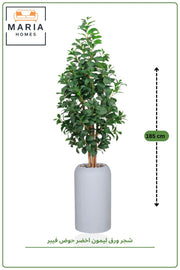 185 CM Artificial Lemon Leaf Tree with Light Gray Cylinder Fiber Planter – Elegant Indoor Tree