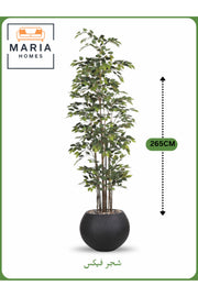 Artificial Ficus Tree 265 cm Ð Tall Decorative Indoor Plant with Black Pot