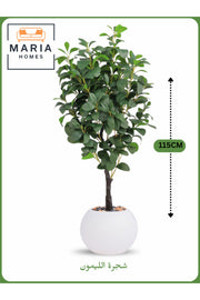 Artificial Lemon Tree 115 cm Ð Decorative Indoor Plant with new White Pot
