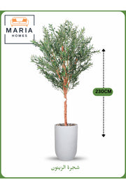 Artificial Olive Tree 230 cm Ð Large Decorative Tree with White Pot
