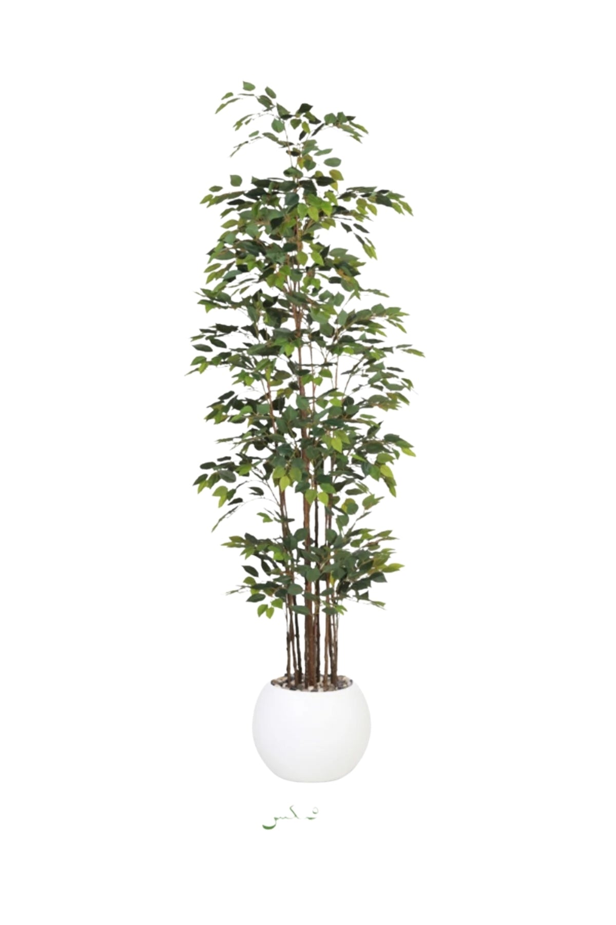 Artificial Ficus Tree 250 cm – Tall Indoor Decorative Plant with White Pot