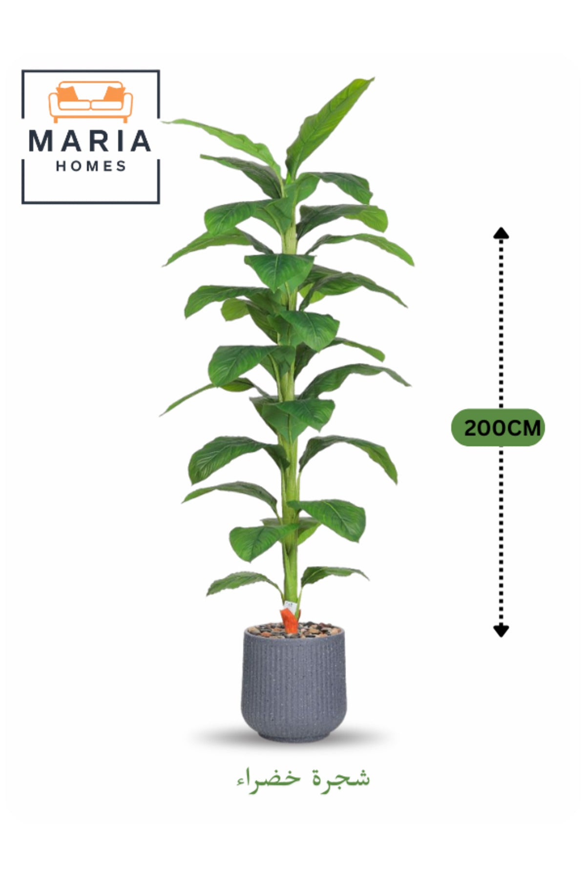 Artificial Green Leaf Tree 200 cm Ð Tall Decorative Plant in Grey Pot