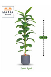 Artificial Green Leaf Tree 200 cm Ð Tall Decorative Plant in Grey Pot