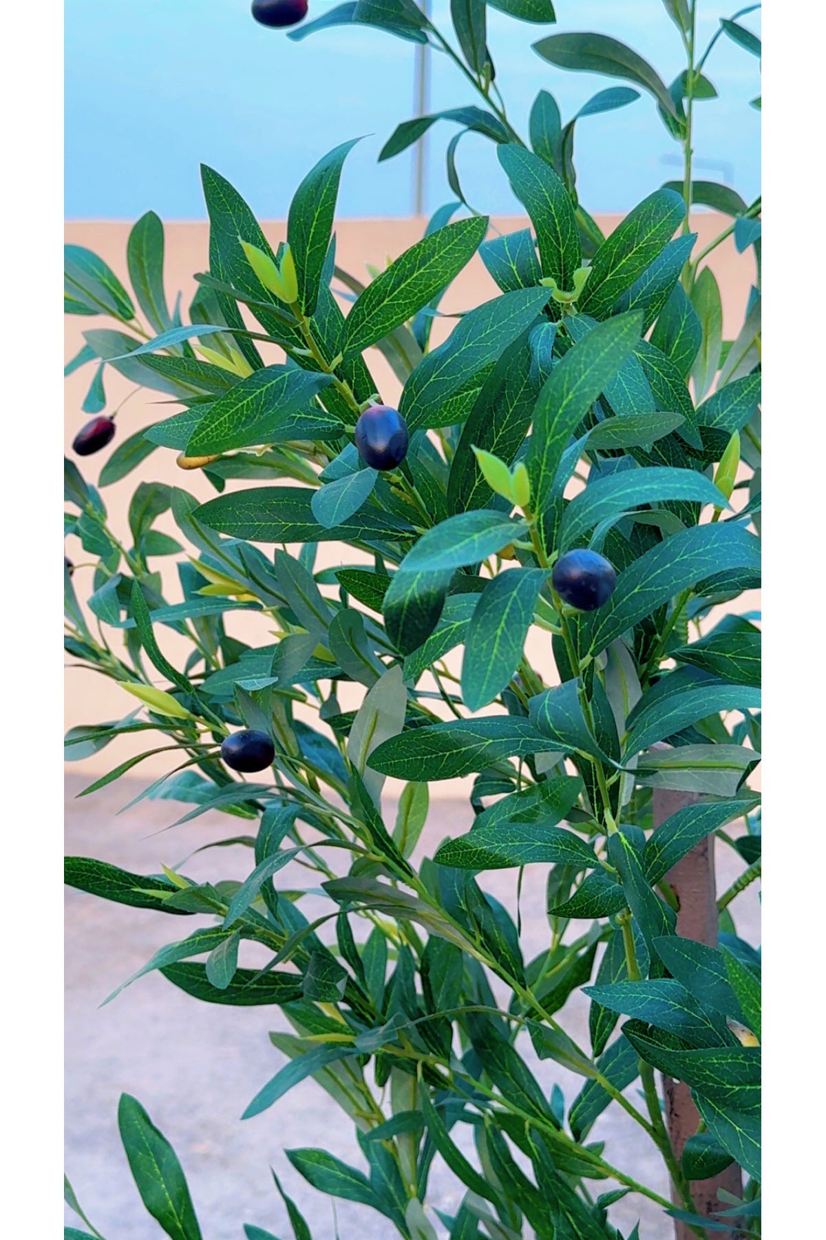 Artificial Olive Tree 190 cm Ð Tall Faux Indoor Plant with Black Pot