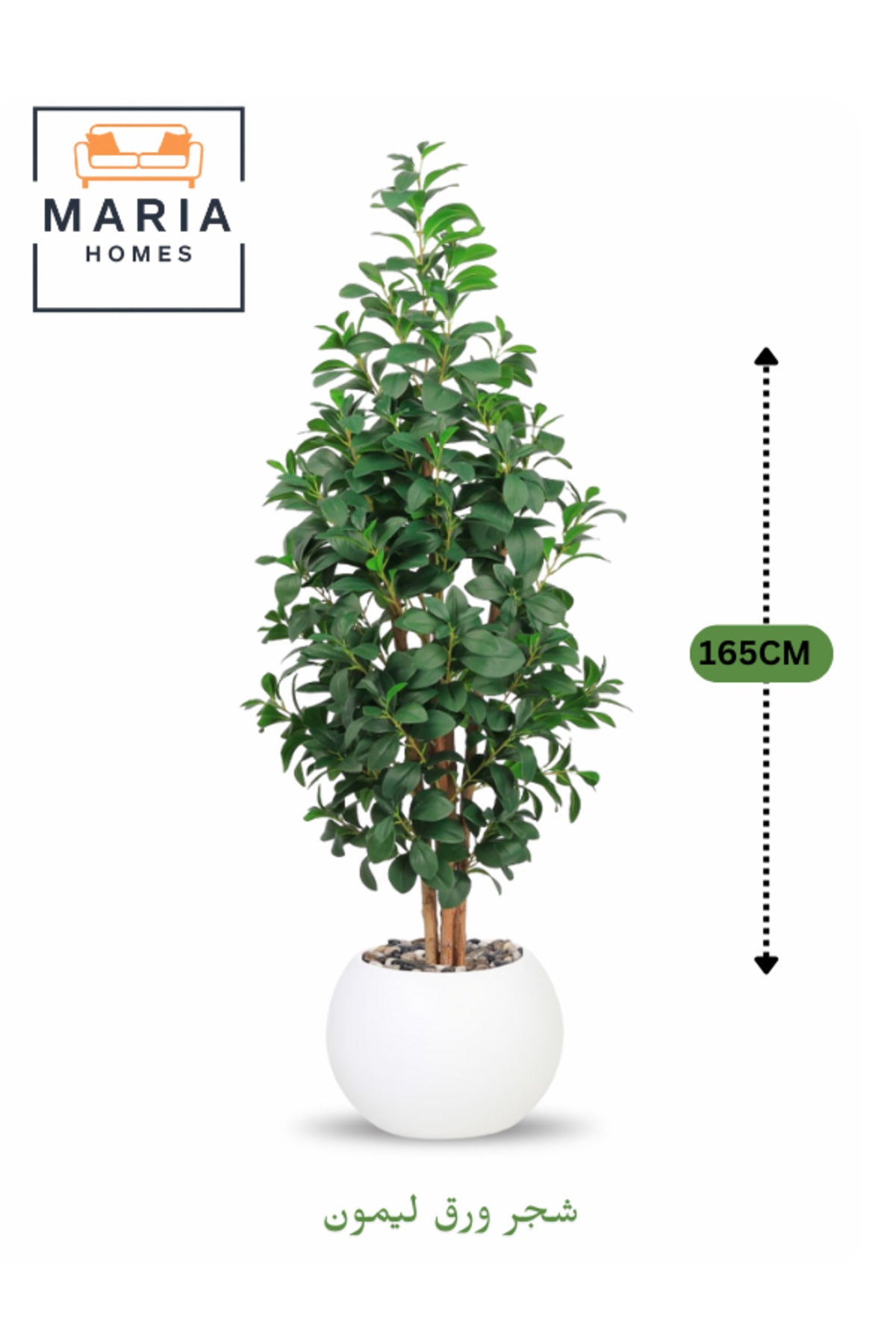 Artificial Lemon Leaf Tree 165 cm Ð Green Foliage in Round White Plastic Pot for home decor