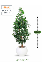 Artificial Lemon Leaf Tree 165 cm Ð Green Foliage in Round White Plastic Pot for home decor