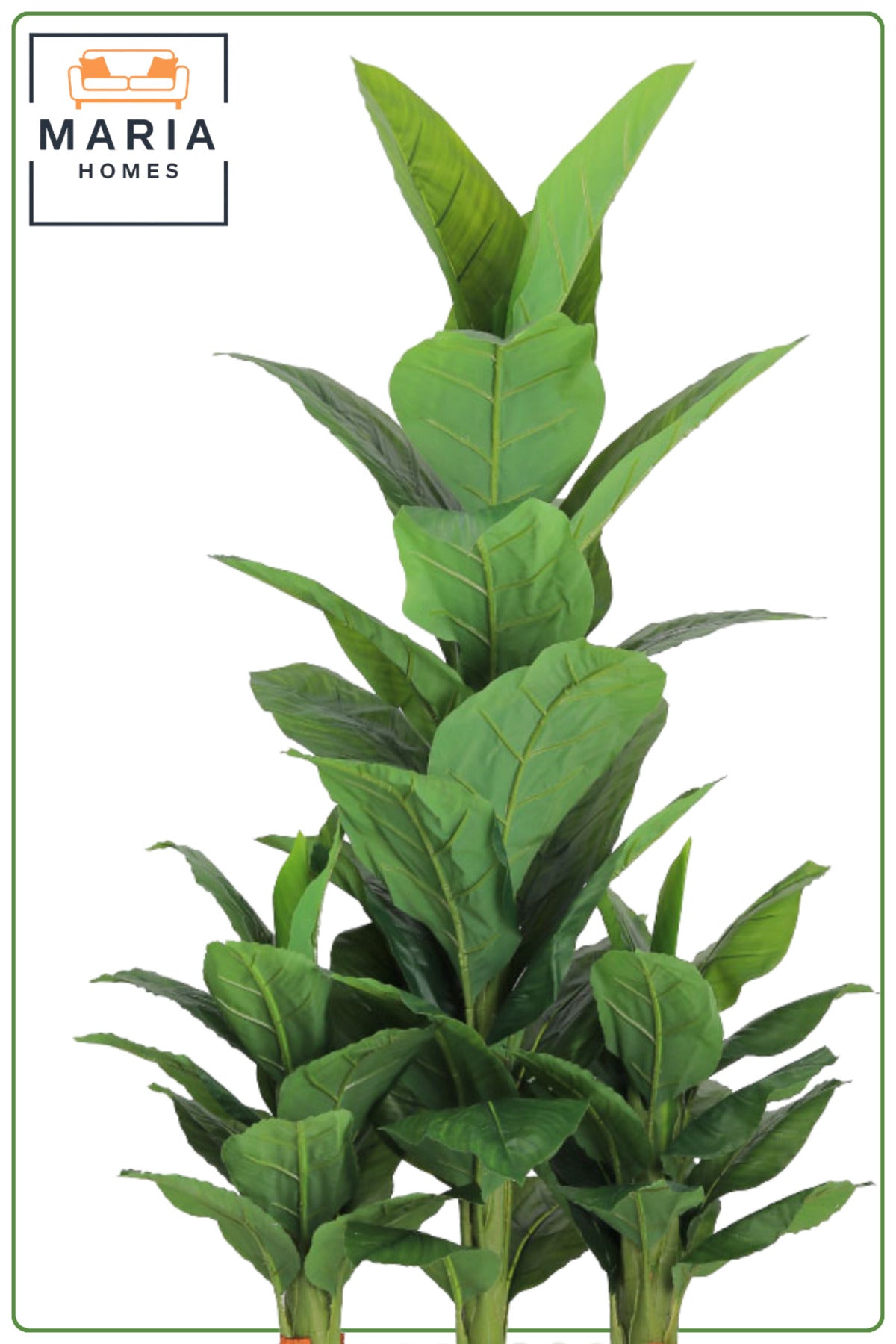 Artificial Green Plant 150 cm with Rectangular Planter – Indoor Decorative Arrangement