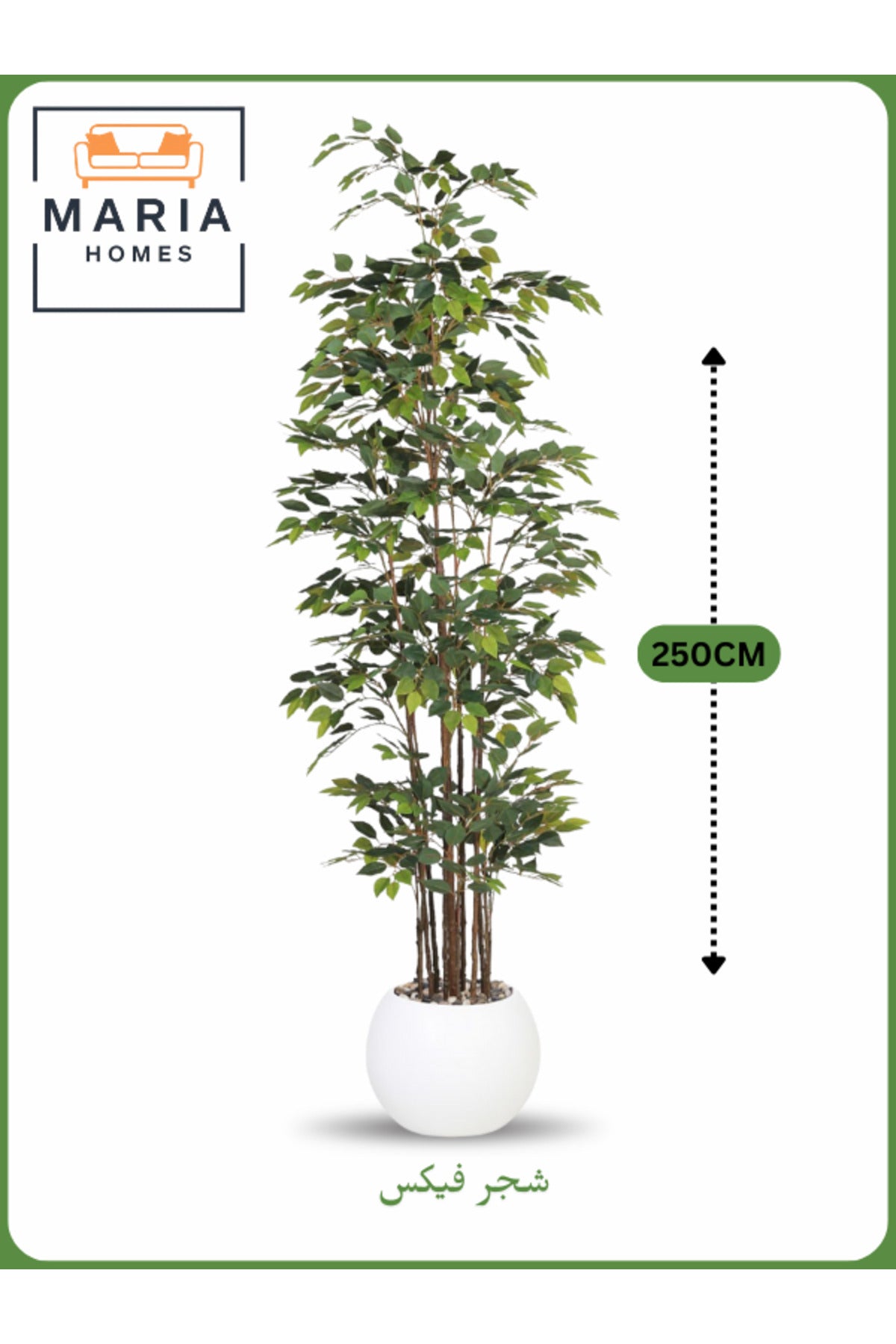 Artificial Ficus Tree 250 cm – Tall Indoor Decorative Plant with White Pot