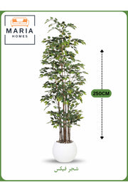 Artificial Ficus Tree 250 cm – Tall Indoor Decorative Plant with White Pot