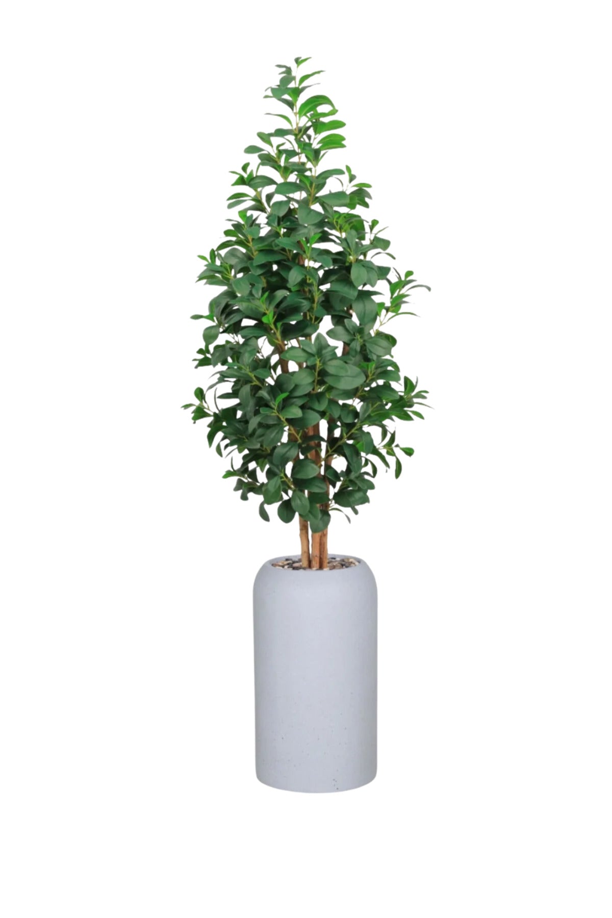 185 CM Artificial Lemon Leaf Tree with Light Gray Cylinder Fiber Planter – Elegant Indoor Tree