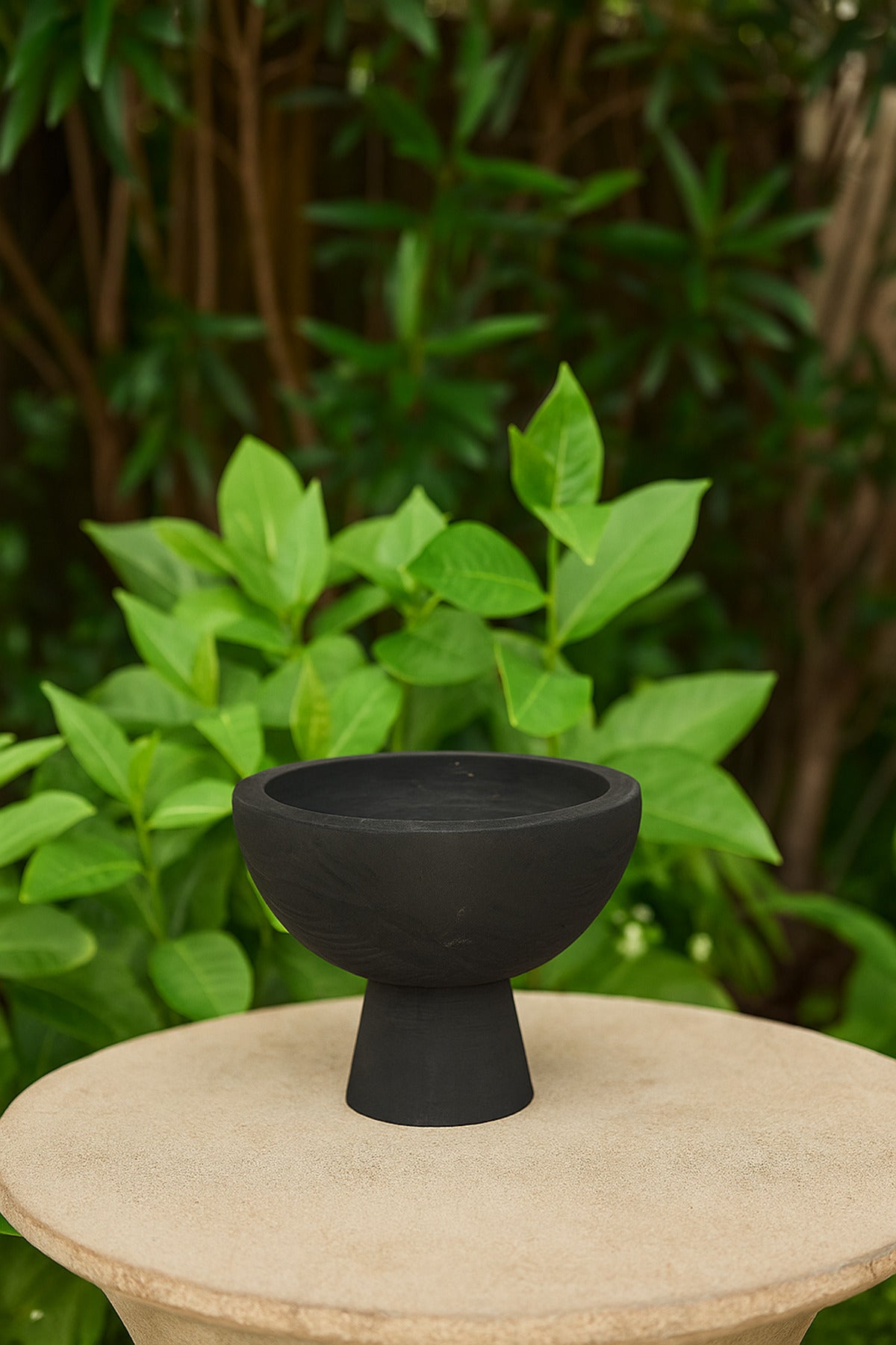 Black Wooden Pedestal Bowl Ð Modern Decorative Serving & Display Centerpiece