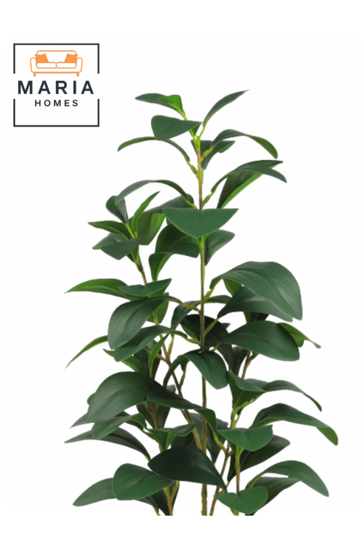 Artificial Lemon Leaf Plant 55 cm Ð Green Foliage in Golden Plastic Pot for home decor