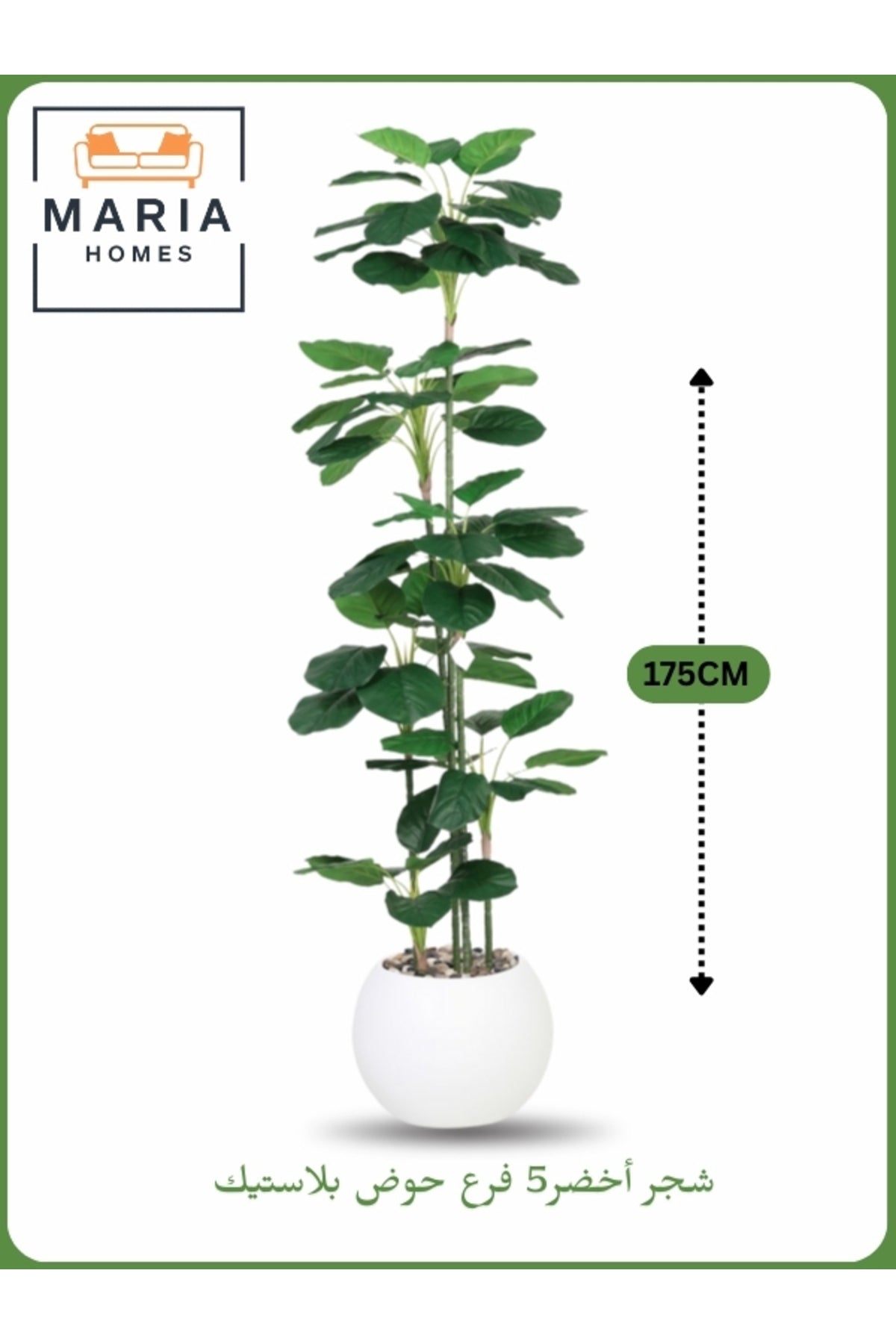 Artificial Decorative Plant Ð 175 cm Tall with White Pot