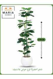 Artificial Decorative Plant Ð 175 cm Tall with White Pot