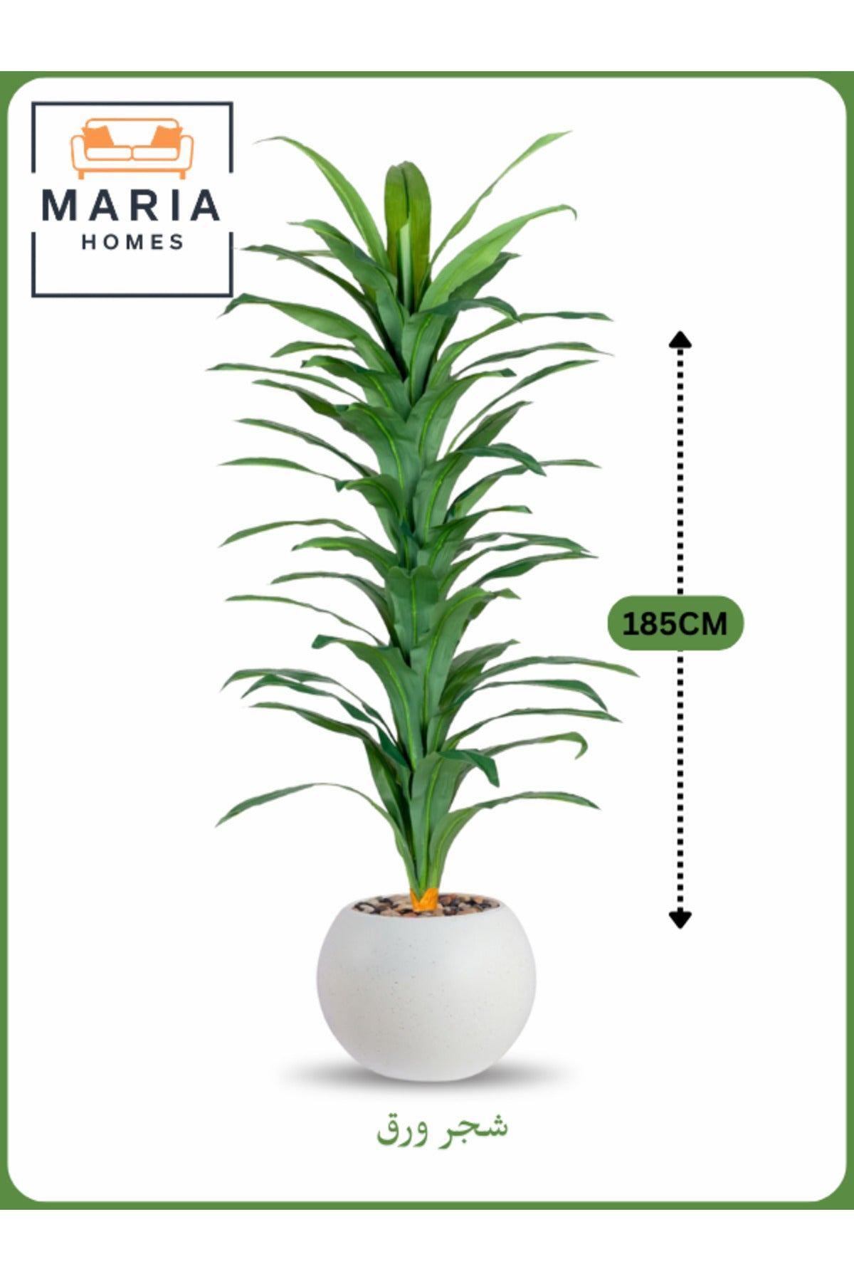 Artificial Corn Leaf Tree 185 cm Ð Tall Indoor Plant with White Plastic Pot