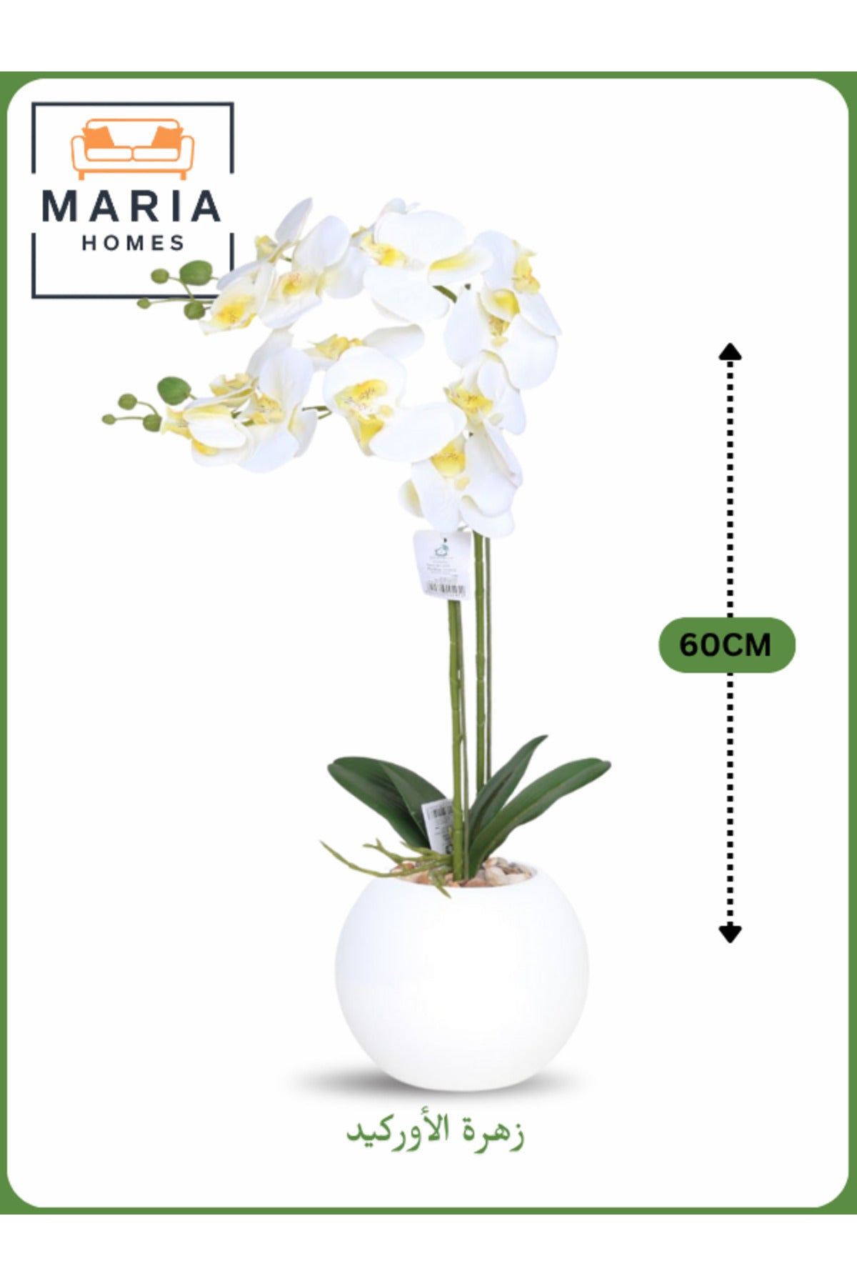 White Artificial Orchid in White Pot Ð 60cm Decorative Plant with 2 Branches